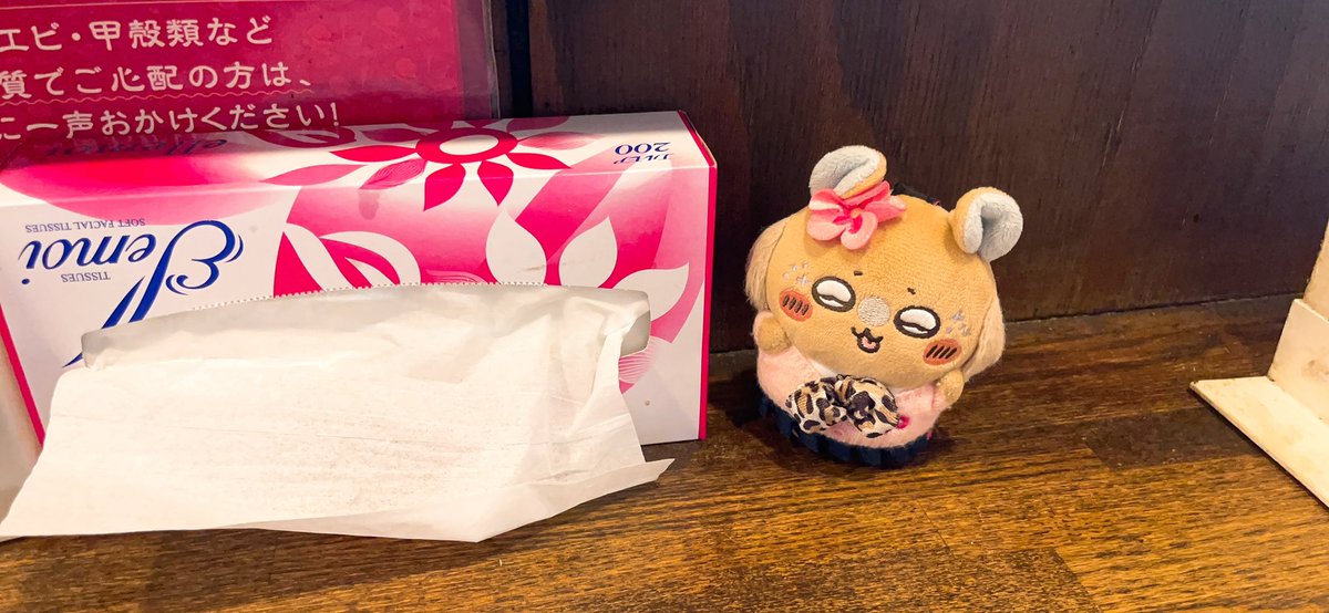 gaiseric70's tweet photo. レバニラの有名な店で
写真をうまく保存できず
食べる前のモモンガだけ残りました
蝦夷鹿レバニラ美味しすぎた… https://t.co/FOuvarnt62