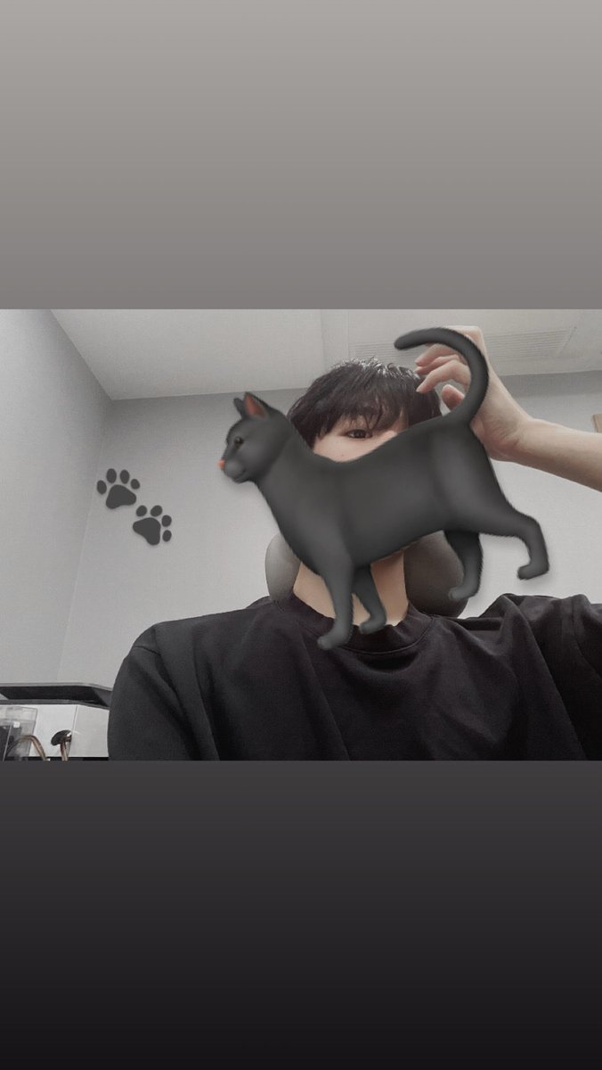 Jiposrz's tweet photo. 🐈‍⬛ vs 🐈 #ㄱㅊㅅ #ㄱㅇ #게친소 https://t.co/J9inAGj6hc
