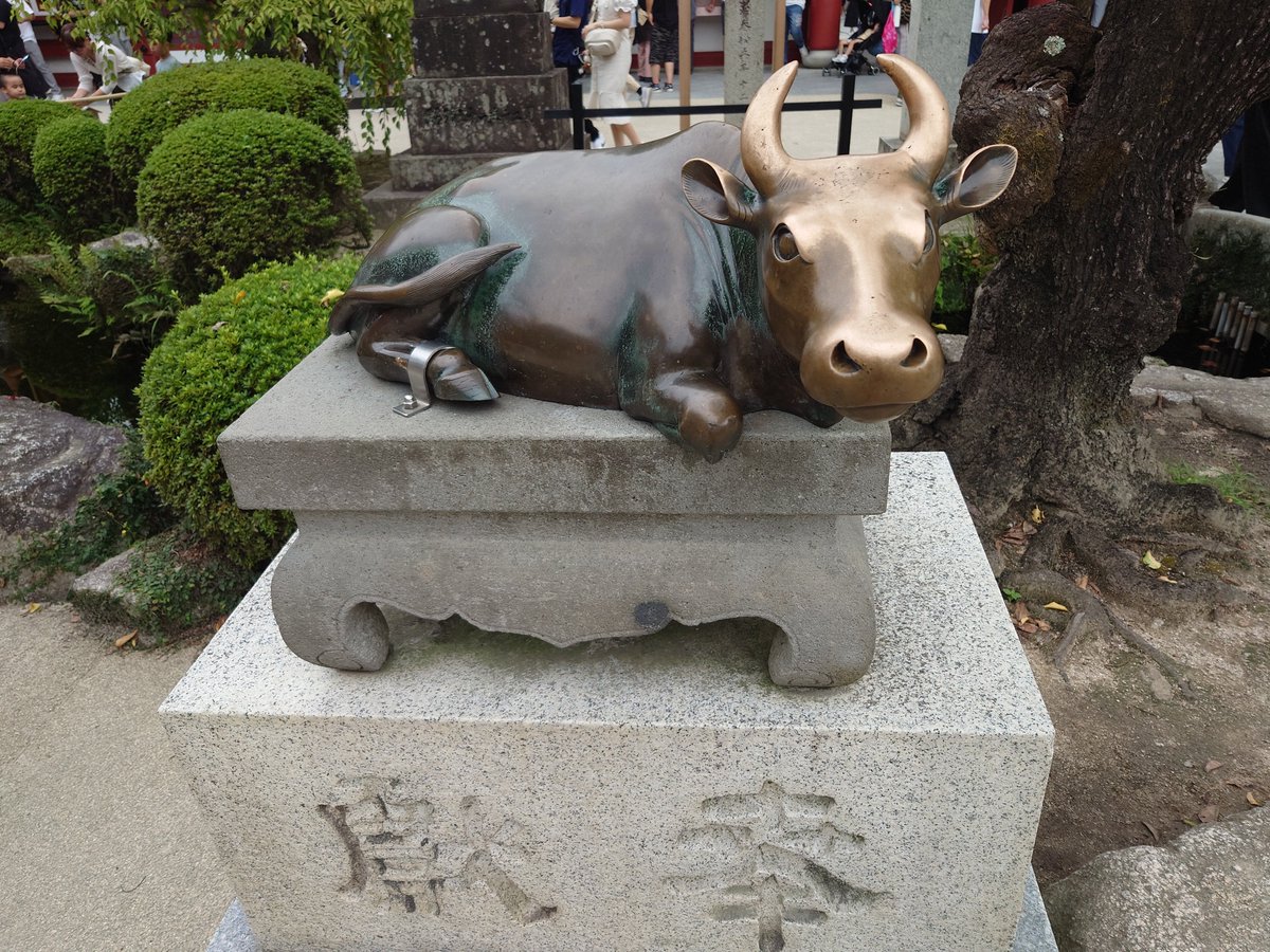 subaru891's tweet photo. 明日友人が来るので前日入りするなどした。何回か福岡には来たことあるけど太宰府天満宮は行ったこと無かったのでこの機会に来てみた。 https://t.co/pqpGSuwPUZ
