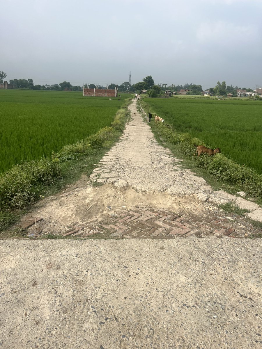 vk_20's tweet photo. @jpbansi @BJP4India @BJP4UP @idharampalsingh @myogiadityanath बांसी–डुमरियागंज मार्ग से बैदौली कला, बैदौली खुर्द होते हुए नहर तक की सड़क अत्यंत जर्जर है। आए दिन लोग गिरकर घायल हो रहे हैं। महोदय, कृपया संज्ञान लेकर शीघ्र मरम्मत कराने की कृपा करें। https://t.co/vUV242TiL2