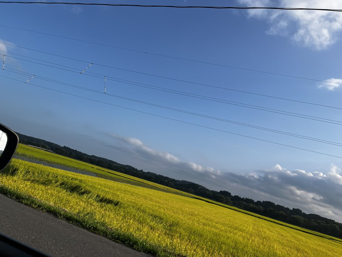 kw_7039's tweet photo. すっかり秋だね。 https://t.co/K1rlOauBZR