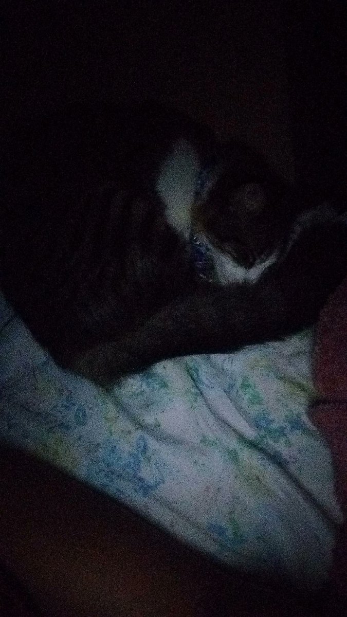 Juliavtr0's tweet photo. Espero que não exista nenhuma porta no céu para q vc não tenha q arranhar pra eu abrir só pra gente dormir juntinhos, meu neneco https://t.co/EKZBxLajYC