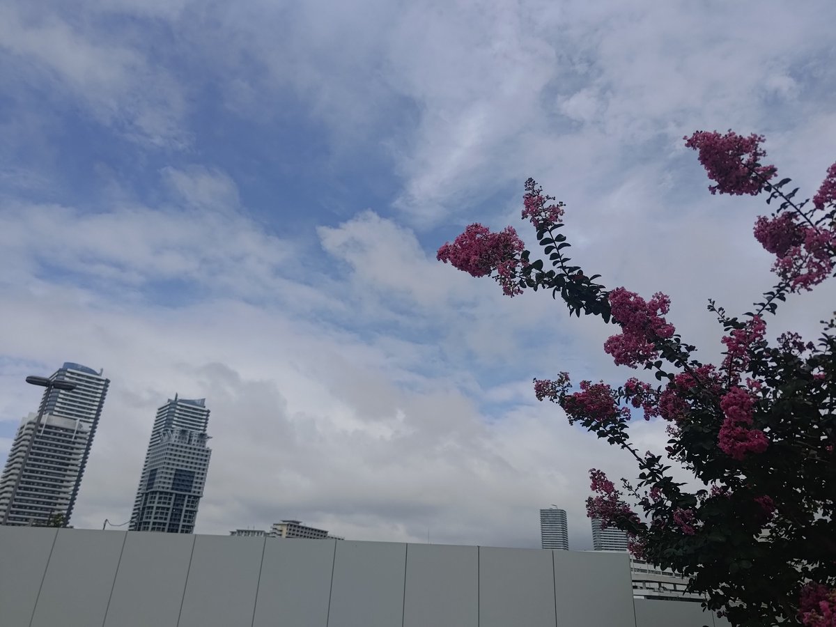 Erunya3's tweet photo. 秋風。
最近、家路につくときに虫の音が聴こえるようになったけど、今日は気温25度の涼しい日。これからバイクで気持ちよく走れるのが嬉しい🏍️ https://t.co/ils5YkTgdJ