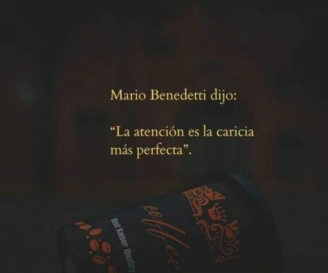 El_abuacatit0's tweet photo. ▪️ https://t.co/4ER0Th8L3e