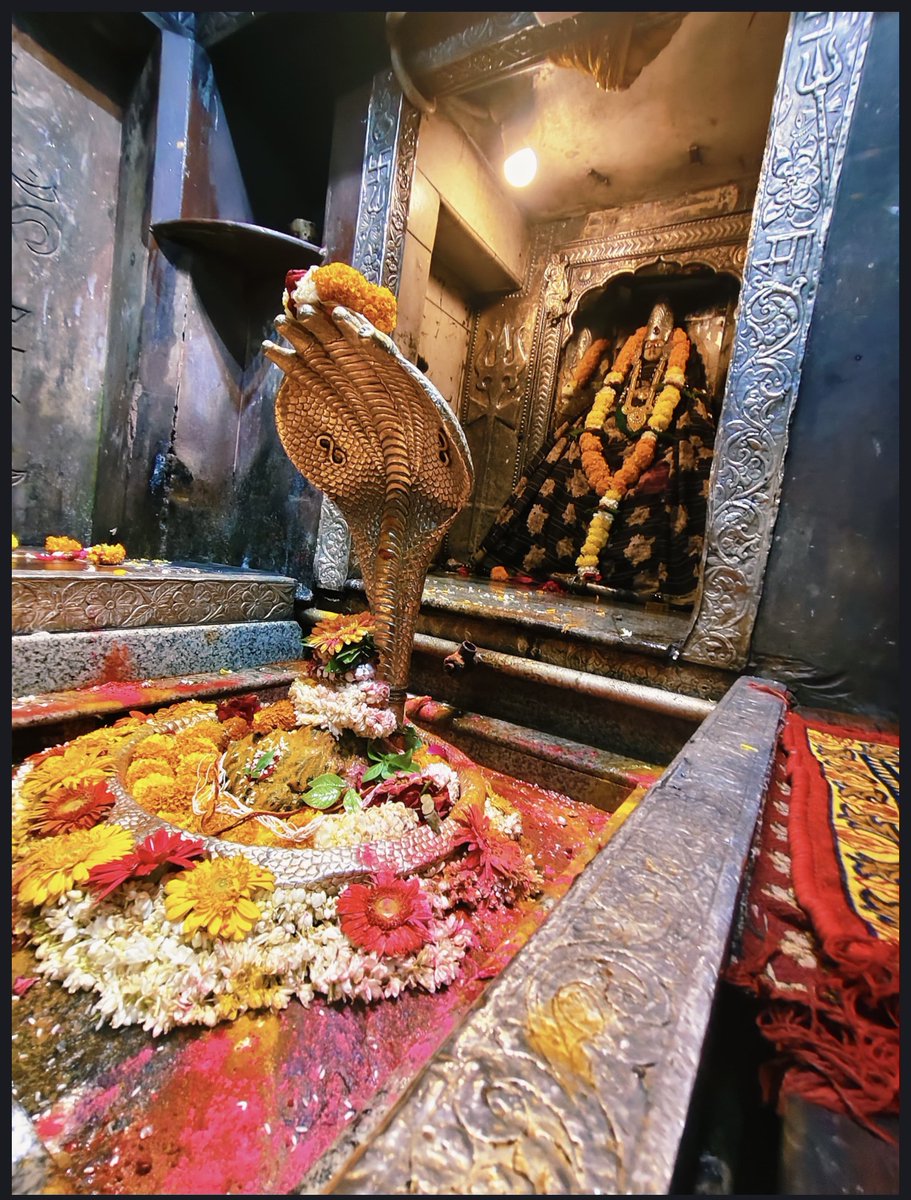 12Jyotirling's tweet photo. श्री ॐकारेश्वर ज्योतिर्लिंग मंगला आरती श्रृंगार | 05.09.2026

Shri Omkareshwar Jyotirlinga Mangala Aarti Shringar | 05.09.2026 https://t.co/SChetIQTSS