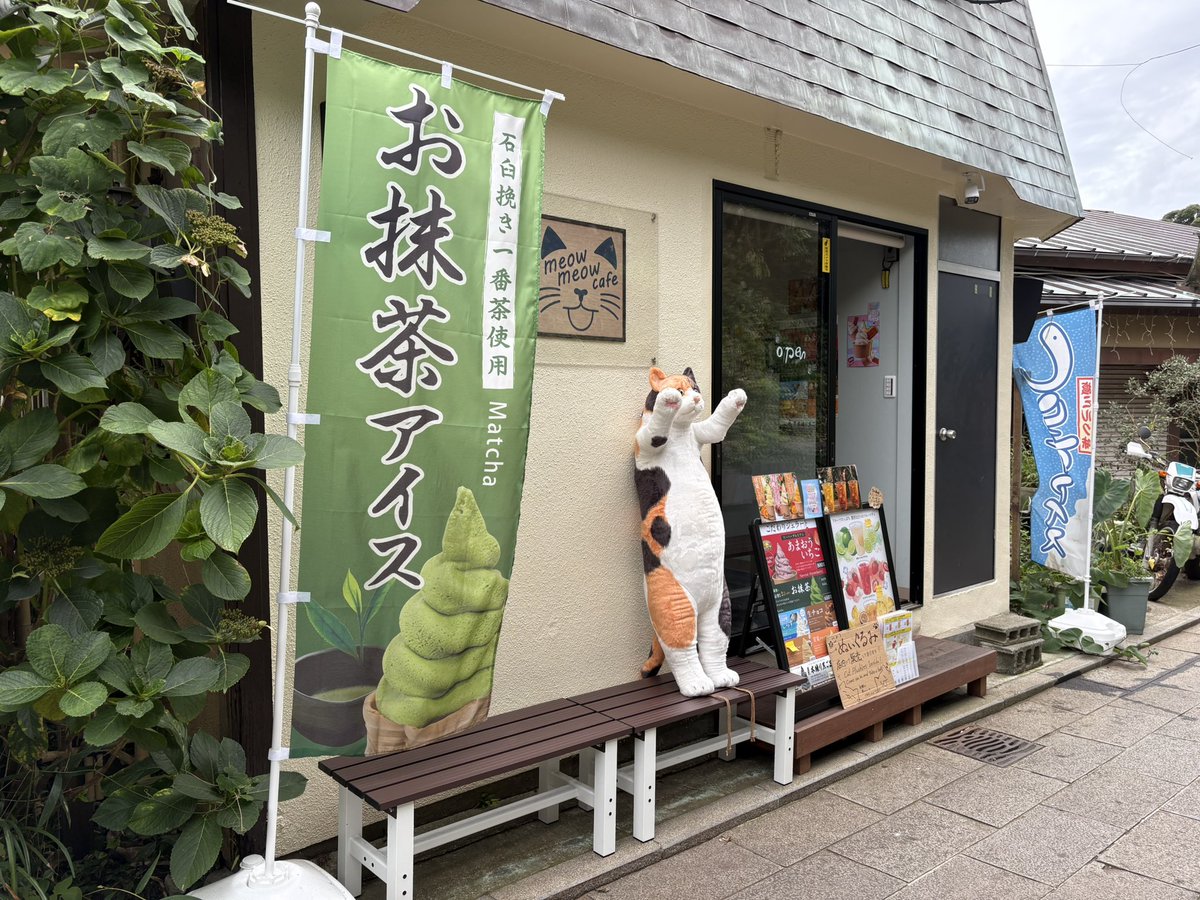 enoshimasanpo's tweet photo. 江の島島内
【meow meow cafe】さん😺
よっちゃんの貝広物産店の並びだよ!
3種のお茶ベースから選べるひんやりドリンク🥤
わたしはアールグレイに『台湾レモン+ナタデココ』を選びました♪
程よい甘さとレモンの酸味、紅茶のすっきり感とナタデココの食感が楽しく美味しかった♡
#meowmeowcafe https://t.co/Ns921238v4