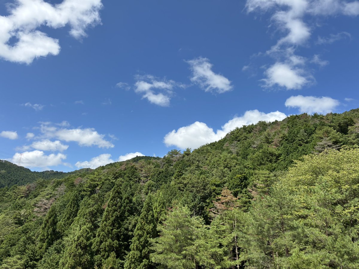 summerchizuru's tweet photo. ⛰🌲🌳 https://t.co/BxcWbw49dr