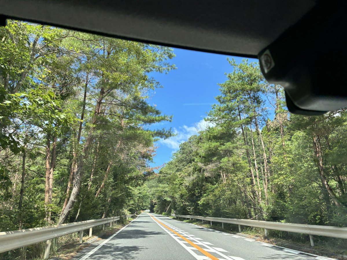 summerchizuru's tweet photo. ⛰🌲🌳 https://t.co/BxcWbw49dr