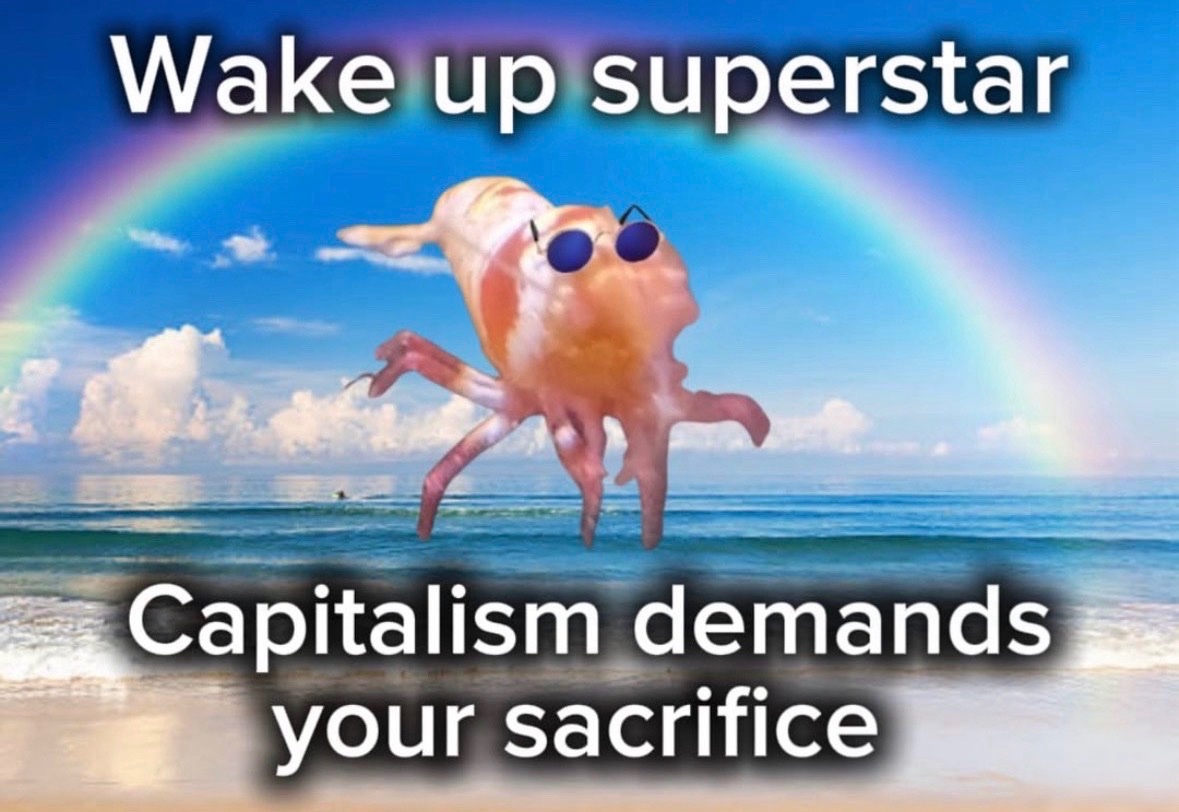 raccoonesthetic's tweet photo. https://t.co/xyLKgijsEK