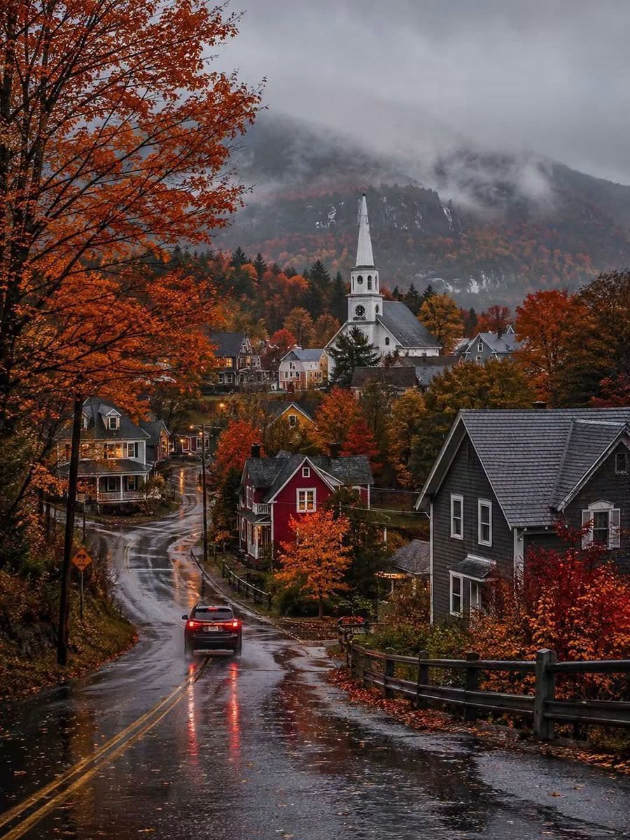 ClicksMagic1's tweet photo. Raniy day, Canada 🇨🇦 https://t.co/c49dQJ9AOf