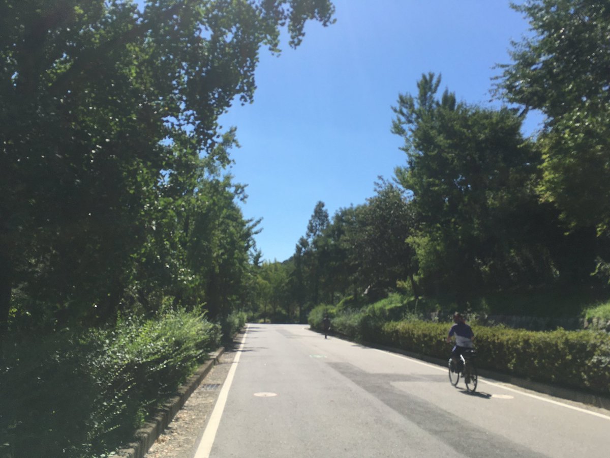 mozzayob's tweet photo. 러닝크루 아닌 경보크루 하고 왔어요 🚶🚶‍♀️🚶‍♂️ https://t.co/Ul0KfQ0uJk