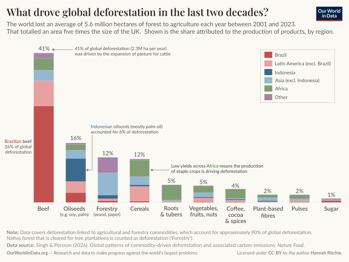 O5Bravo's tweet photo. Penyebab deforestrasi terbesar di dunia itu justru dari peternakan sapi (41%) dibanding sawit (6%).

Makanya SJW lingkungan harus konsisten, kalo peduli lingkungan ya jadi vegetarian dan tidak makan daging sapi. Sekalian juga hindari kopi susu kekinian yang biasa dinikmati kala senja. Kalo gak konsisten ya namanya bukan nyawit tapi nyapi.