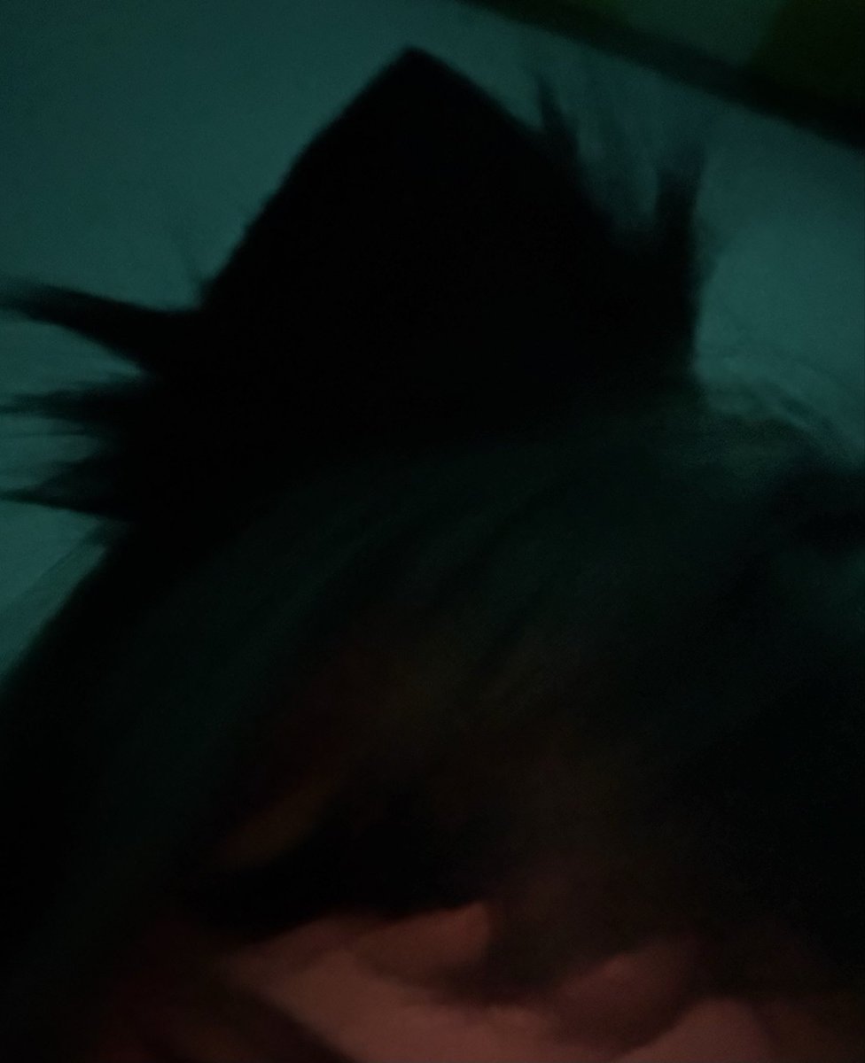 swepykitty's tweet photo. kitty is looking to be spoileddd i meow :3 #catgirl #petplay #nsfwtwt #selling #sellingcontent https://t.co/rsZ4BFPCOU