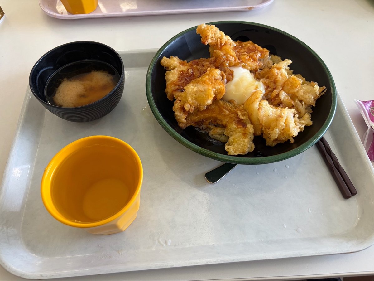 nibenikawa's tweet photo. 九大飯 https://t.co/lnQIBq4nqF