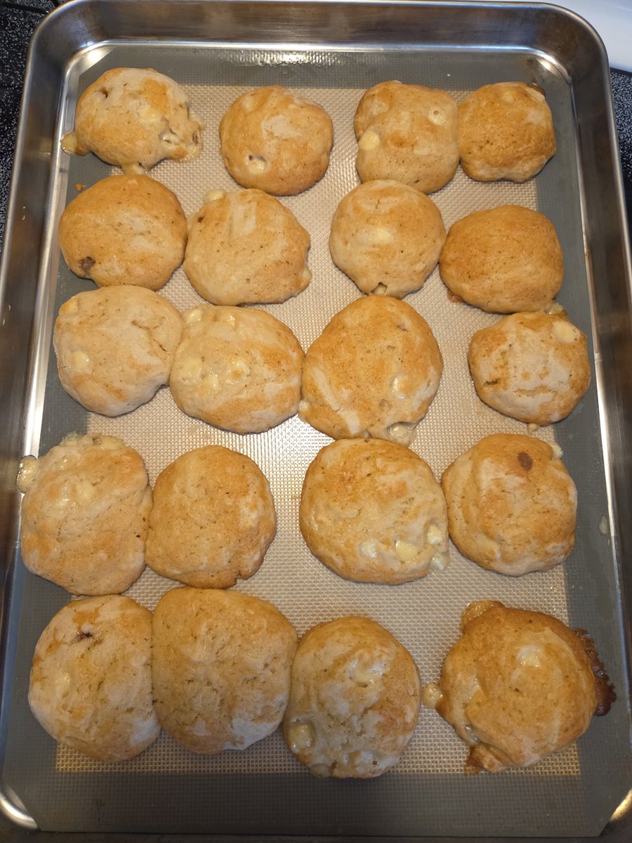 fatguyfilms1's tweet photo. @Sydney_Screams Home made sourdough starter white chocolate chip cookies. https://t.co/wefsueYAEW