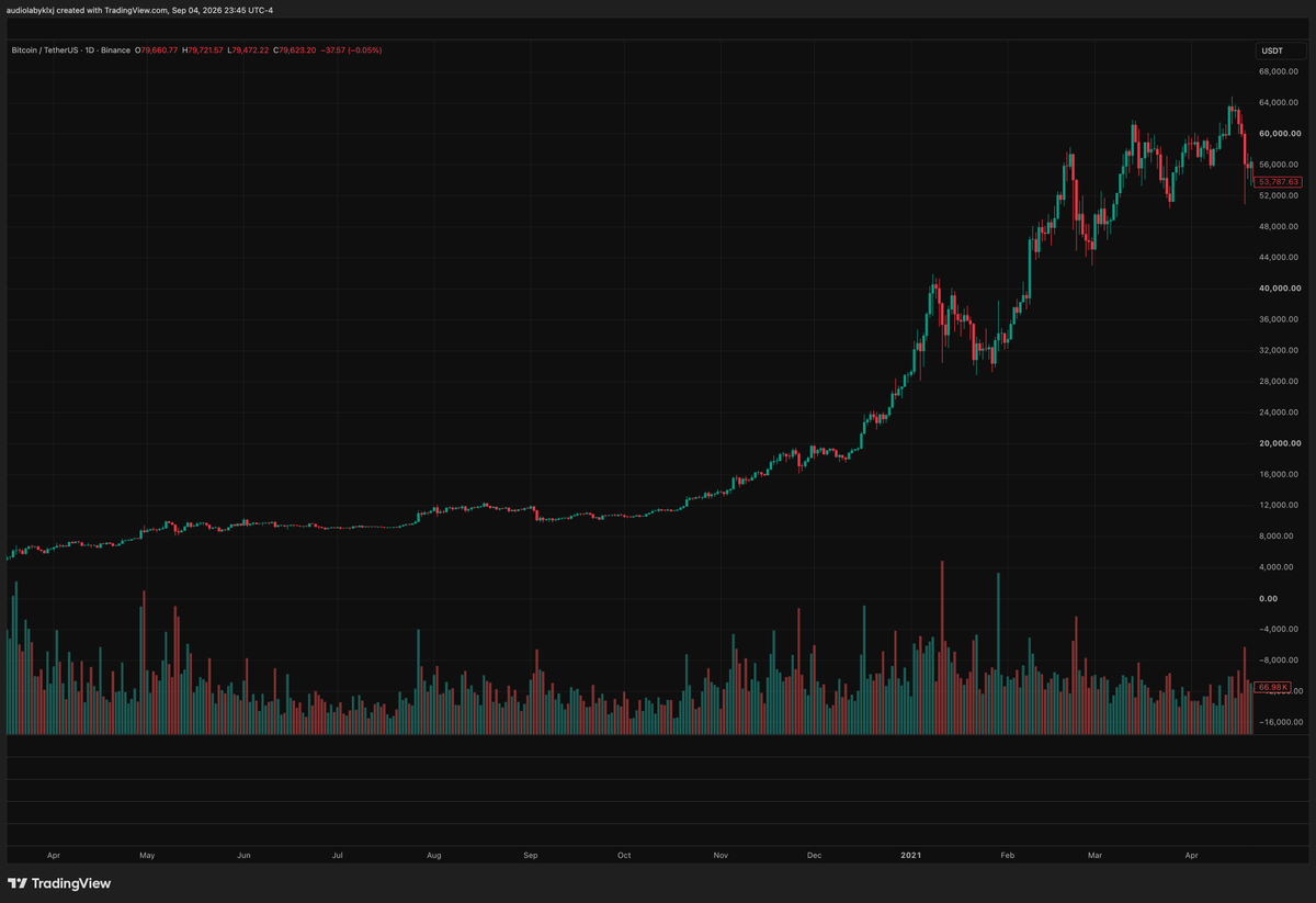 Curbfinance's tweet photo. This setup is probably too perfect to fail on $PUMP - everyone knows this part of the bitcorn chart. I'm not making any comparisons beyond the fact that it's a beautiful, massive bull flag. https://t.co/4ZrvfvSZkJ