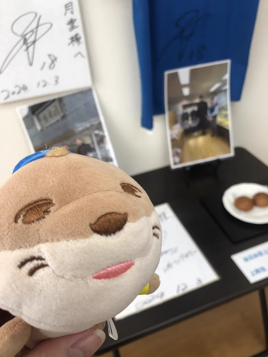 やんちゃん on X: 