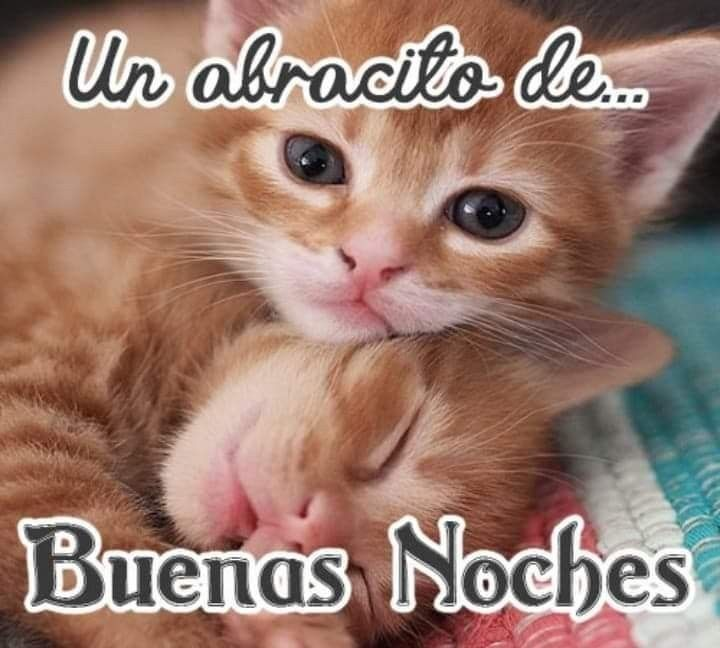 coolfunnnn's tweet photo. buenas noches!! https://t.co/gx44rNJv85