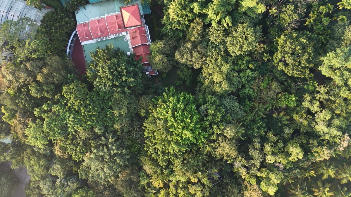 dgviky's tweet photo. @DevnaniKarishma U r right. I have a contrast view of the city, one side concrete and other side green. https://t.co/cOkhh66yHe