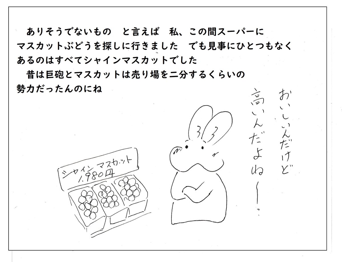 koutouya's tweet photo. 個人的には巨砲が好きかな
あと、たまにはマスカットもたべたいな
全然ないけど���・
＃巨砲　＃シャインマスカット　＃マスカット https://t.co/fFhFpUO69t