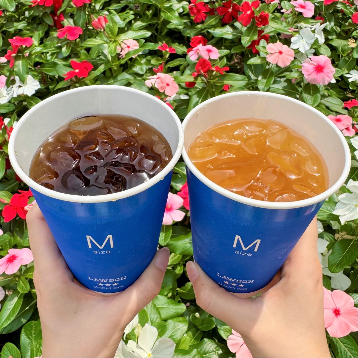 akiko_lawson's tweet photo. 暑い日が続きますね💦
そんな時におすすめなのがマチカフェの「アイスアールグレイティー」と「アイスゆずシトラスティー」です♪
どちらも無糖なので、お好みでシロップを入れて甘さを調整できます(^^)
Ｍサイズはもちろん、メガサイズもおすすめです🍃 https://t.co/x87xonyRWG