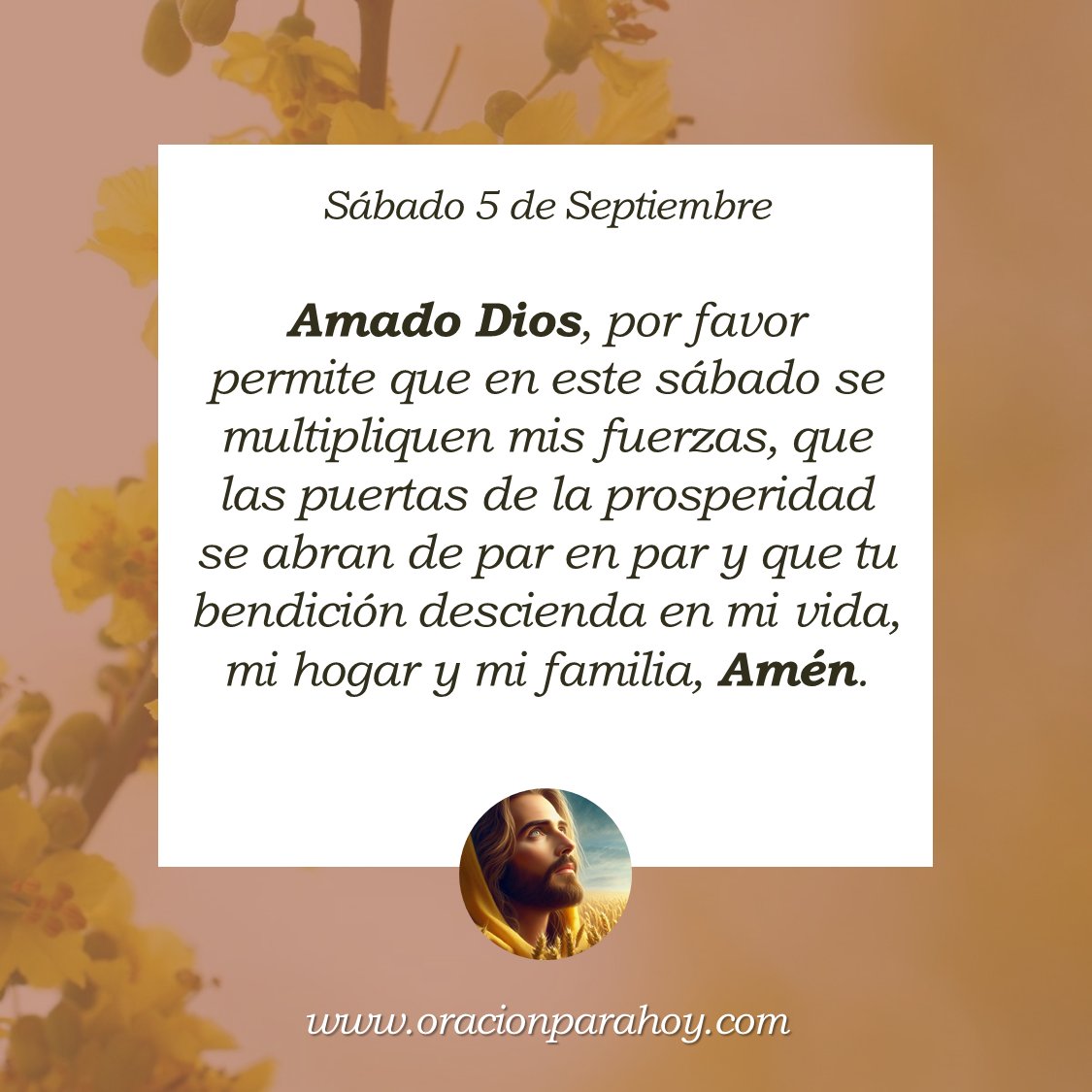 OracionParaHoy's tweet photo. Oración para hoy sábado 5 de septiembre: https://t.co/BhtH4fsd3m ✨ https://t.co/9Hc7cGqJPa