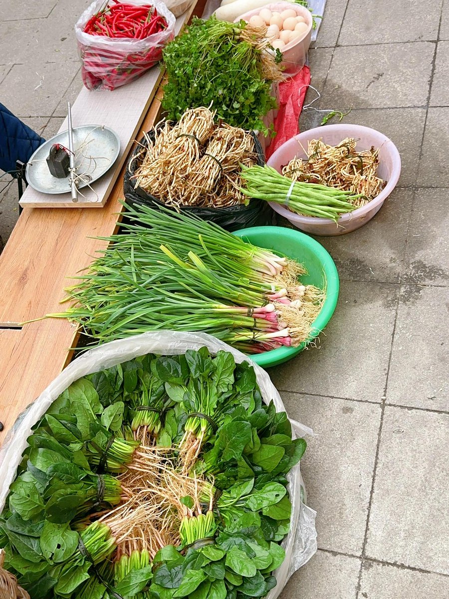 Shamim27567420's tweet photo. Need fresh, affordable ingredients this week Grab organic veggies, free-range eggs and whole-grain staples at our local market—all sourced direct from farms! Shop small, eat well ， https://t.co/CQK619eWoW