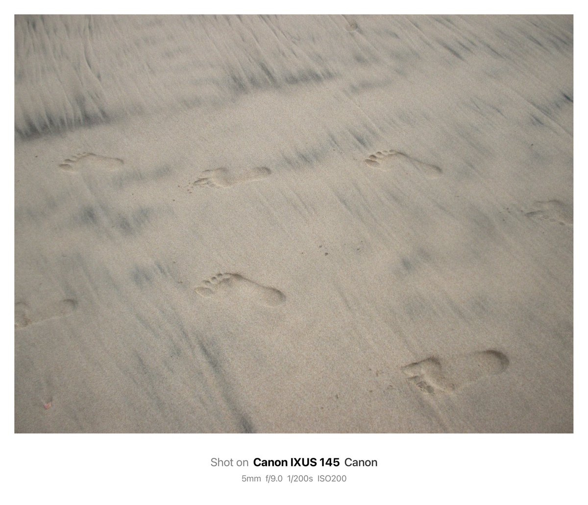pawviewluv's tweet photo. ★— Shot on : Canon Ixus 145 https://t.co/kYO64obMgT