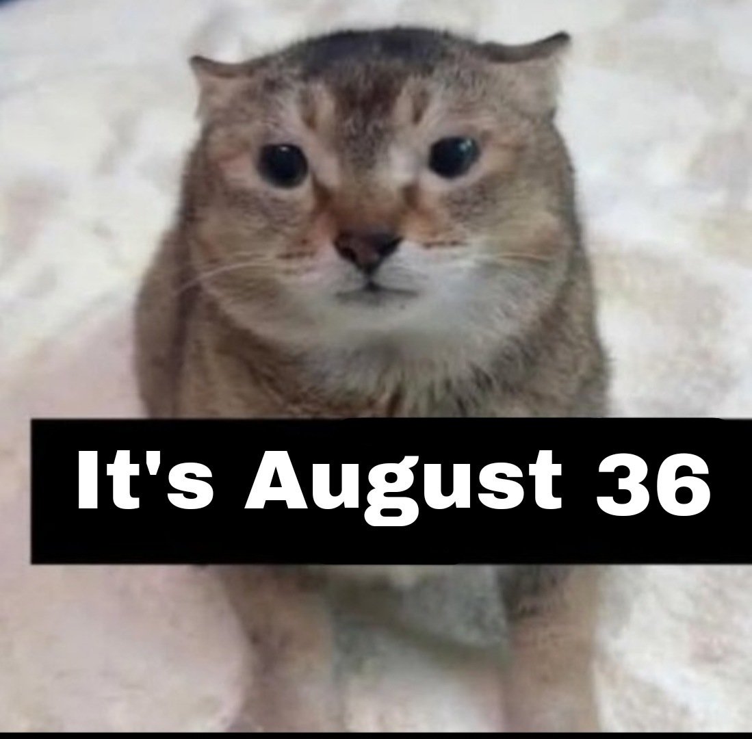 the47cat's tweet photo. https://t.co/28UDZhmd3A