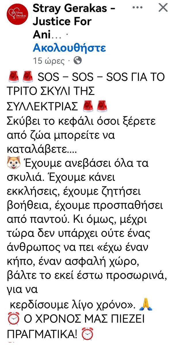 Christinalirou2's tweet photo. ‼️🆘‼️🆘‼️🆘‼️🆘‼️
Έκκληση των εθελοντών για βοήθεια φιλοξενία ή υιοθεσια. Είναι άμεση ανάγκη να φύγει το ζωάκι από το κλειστό χώρο της συλλεκτριας. Κοινοποιουμε👇👇👇👇 https://t.co/nOMr9Xz5ct