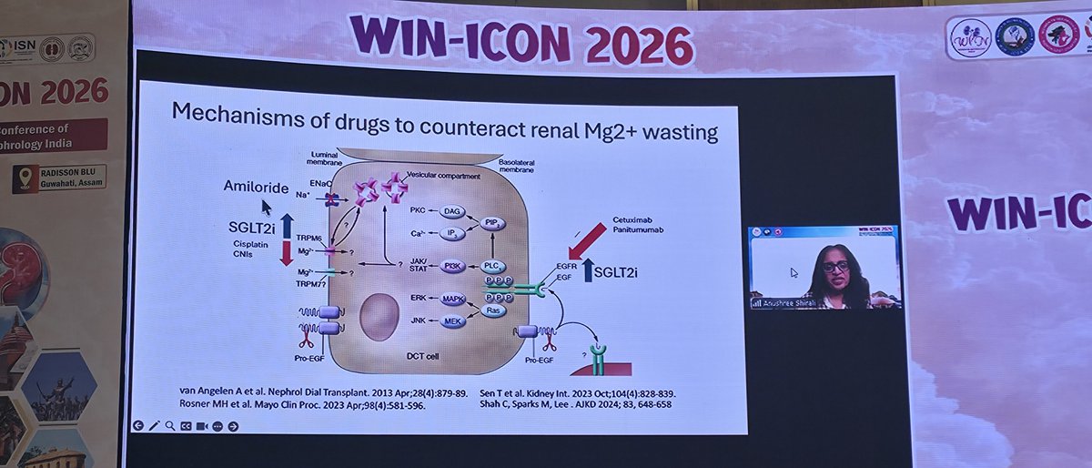 Sandyrvsdav's tweet photo. Came cstraight from the Guwahati airport to the scintillating AKI symposium 
@anushreeshirali took us through a ward rounds of Onconephrology with AKI and Electrolyte chaos. A few snippets from a case discussion on hypomagnesemia in a patient who received Cetuximab👇
#WINICON2026 https://t.co/XkAG9Oq7Yl