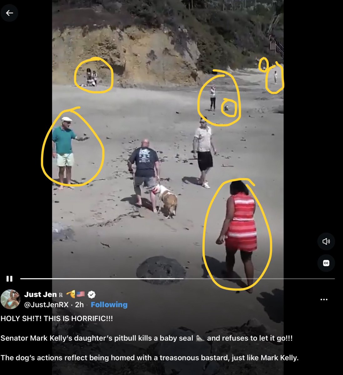 HouseofElon's tweet photo. Holy Sh*t!🤬 I honestly don’t know what’s worse, but all of this is definitely HORRIFIC!

A.  Sen Mark Kelly having a violent, untrained Pit Bull.
B.  Letting his daughter have it.
C.  Strolling along vacationer’s beach with it.
D.  Ignoring the baby seal the dog just mangled and ate.
E.  Mark beating the dog after.
F.   Mark dragging the dog while chocking it.
G.  Mark bringing the dog back into his home and neighborhood for other babies to get attacked and eaten by it.

Mark Kelly spent way too much time in space. His brain is mush. He and that dog need to be kept away from the public!