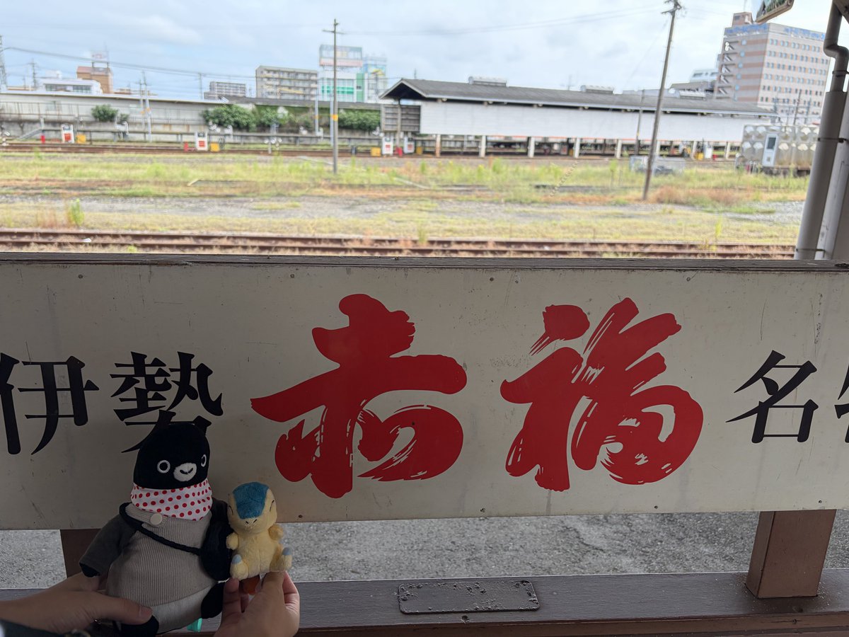 pingu_0626's tweet photo. しゅばばば🏃‍♂️ https://t.co/Xu1OZm8WKU