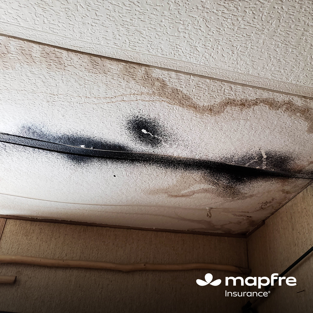 sevcanswift's tweet photo. Even small patches of mold can affect indoor air quality. Inspect regularly and address mold as soon as you spot it. https://t.co/SZTLQg6MOf
