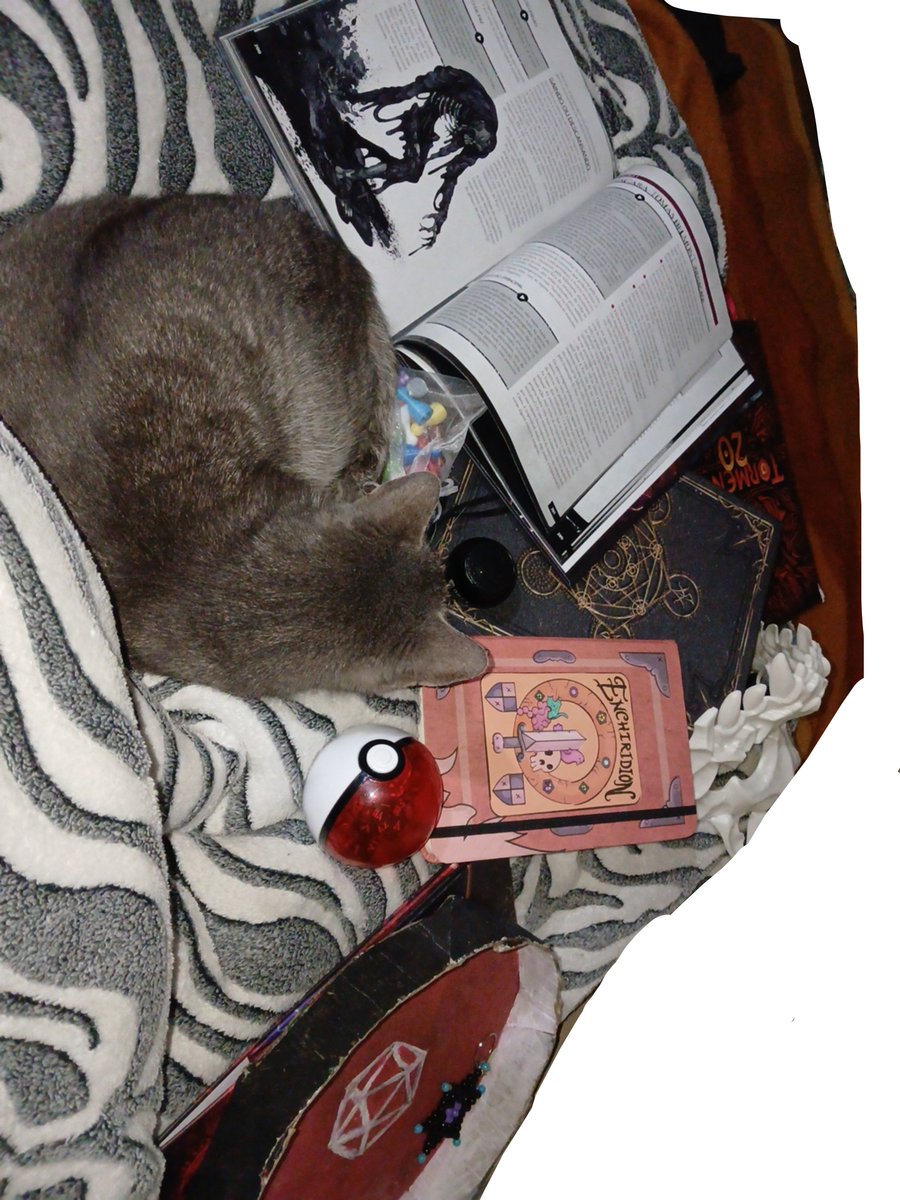 ele_camargo_'s tweet photo. sim, eu leio sistema de RPG por diversão ☠️ https://t.co/oHifVPVvOJ