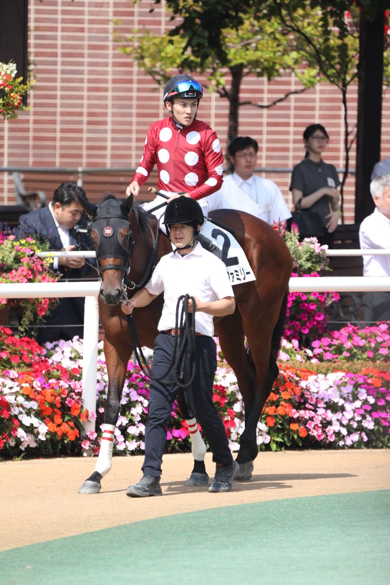 ors6050_uma's tweet photo. 9/5 札幌5R  2歳新馬
#ローズファミリー ②

#大久保友雅 騎手
#田中剛 厩舎

#ローレルクラブ https://t.co/1WXX9IJc9E