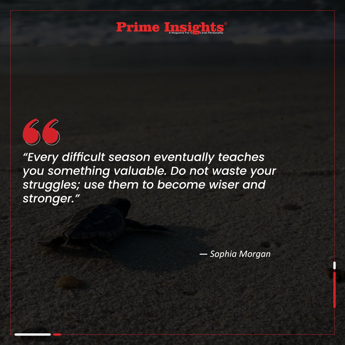Prime_Insights1's tweet photo. “Every difficult season eventually teaches you something valuable. Do not waste your struggles; use them to become wiser and stronger.”
— Sophia Morgan

https://t.co/GdSgVKIszI

#success #quoteoftheday #quoteoftheweek #successquotes #successgoals #quotesforsuccess https://t.co/wmu8iE20HM
