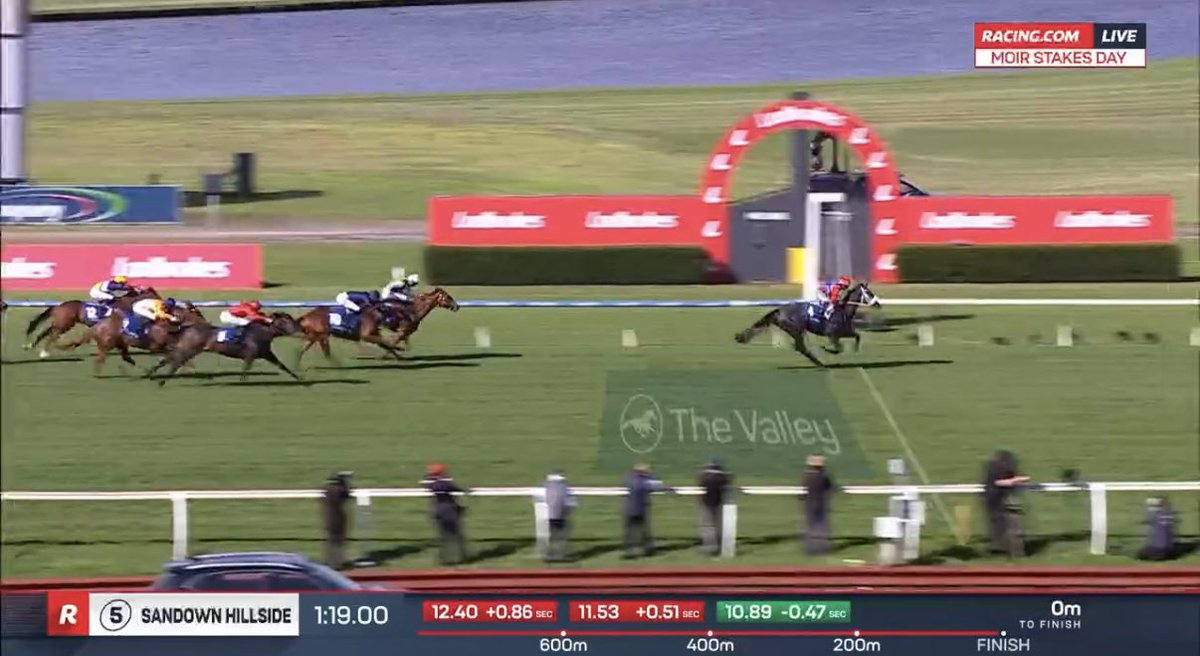 Racing_Previews's tweet photo. That Adelaide form was just lengths better than our lot. #PrettyBaby https://t.co/vNlcZ1Wj8R