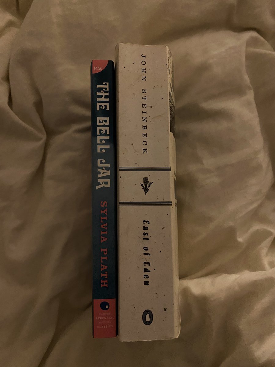sawayakadays's tweet photo. i went to the bookstore with my friend after work &amp; got two books i’ve been wanting (♡ˊ͈ ॢ꒳ ॢˋ͈)♪

i’ve heard great things about them ! i’m excited 🌱 https://t.co/gXjUF8htZs