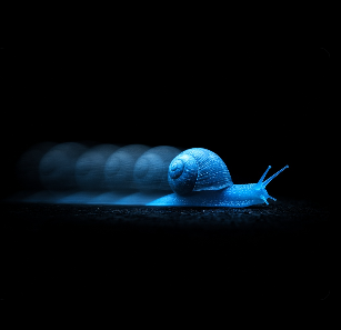 motiononhood's tweet photo. slow motion is better then no motion. https://t.co/0sVat8DBHz