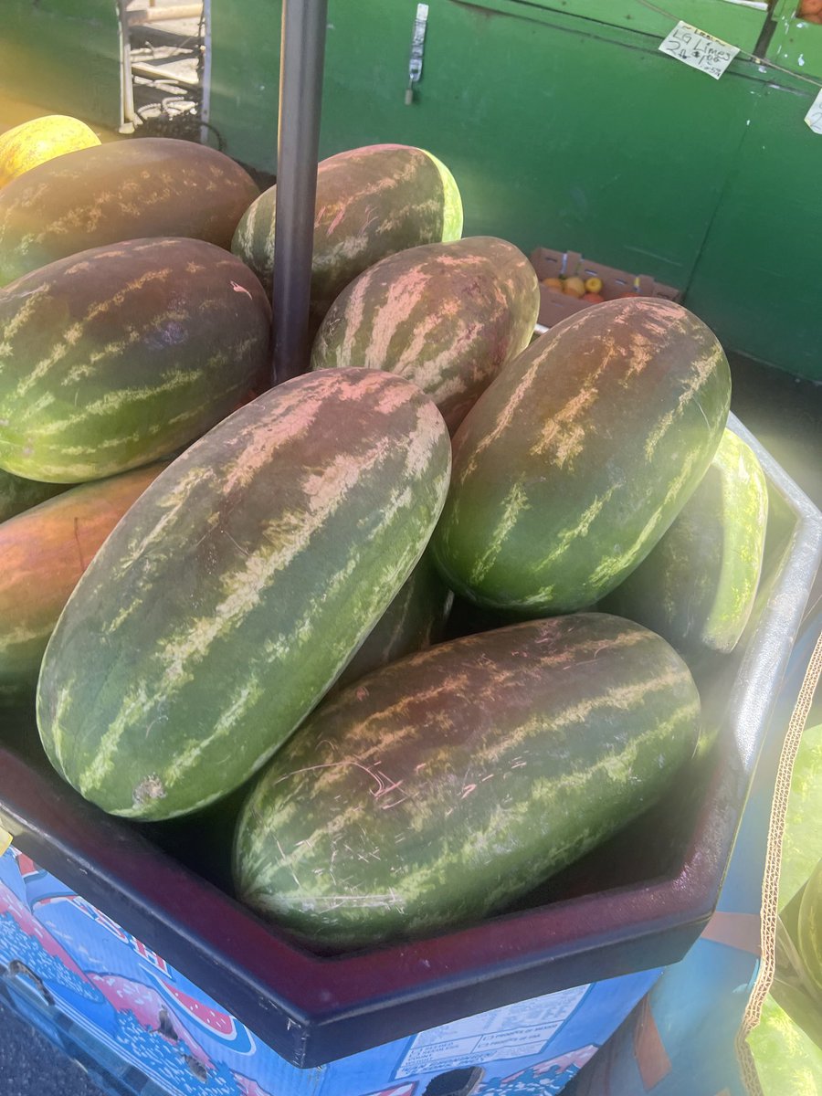 menphou's tweet photo. 🍉🕶️⛱️ https://t.co/5wWOLWlQnv