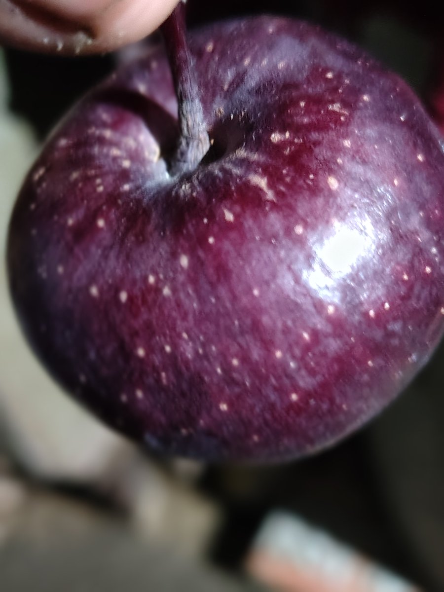 fiftiethm8's tweet photo. Apple https://t.co/SvDrUn0ZUq