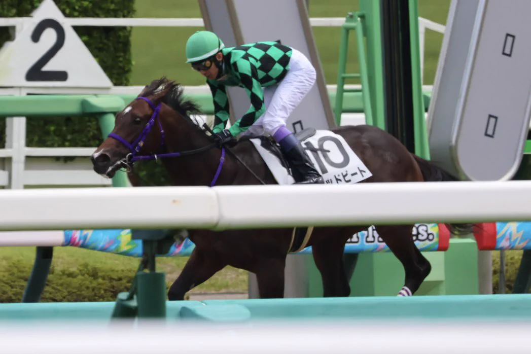 楽市楽座 в X: „ポッドビート 10馬身差圧勝のゴール！ ユタカさんに