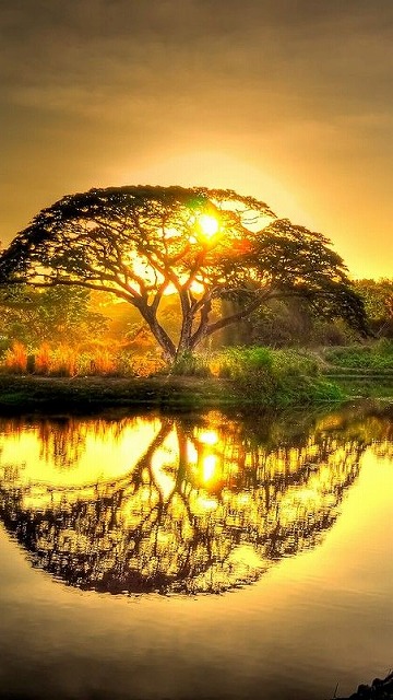 JaylaGriffbv's tweet photo. 最近、夕方の天満橋で写真を撮るのにはまってる。川沿いの遊歩道が黄色くライトアップされてて、美しい光景なんだよ。平日は人も少ないし、撮影スポットとしては最高 https://t.co/B4QdyVc1qO