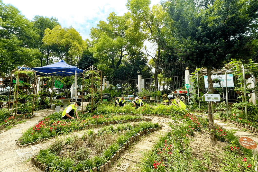 EmelineFlo5dym's tweet photo. Join our neighborhood plant swap this Sat (10am-12pm) at Central Park! Bring extra plants u0026 homegrown goodies, take new ones, chat with neighbors—free u0026 family-friendly! https://t.co/TQFaffaaO2