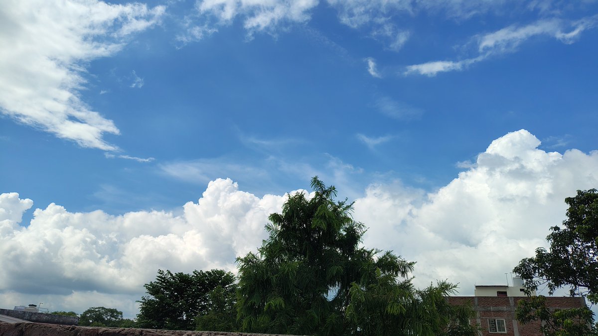 hloo__dear's tweet photo. Normal day in bihar🌝 https://t.co/qG9Xrm6lHt