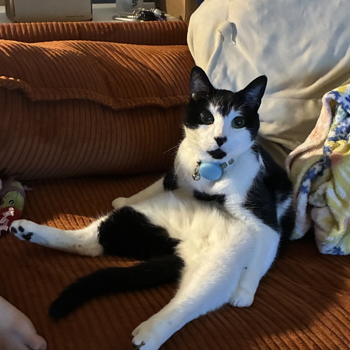 kidfigment's tweet photo. he’s kind of strange right? https://t.co/Jlcnfl34ZI