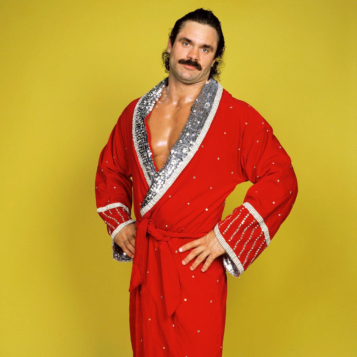 WWFWrestling1's tweet photo. Have a Simply Ravishing Saturday! 💋 #WWF #WWE #CherylRoberts #RickRude https://t.co/z0gqnzChDq