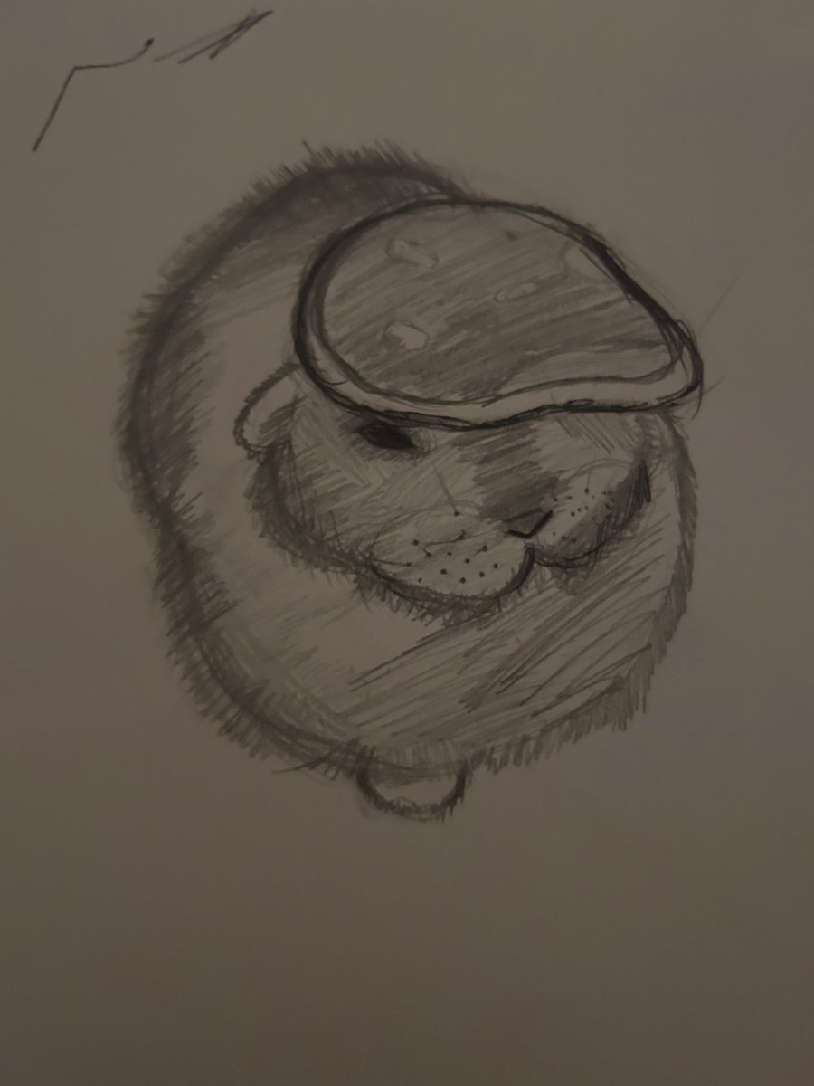 mazie2kool's tweet photo. hi ok rate my drawing yes its butt no i dont care🤬🤬 https://t.co/kXdfoC4KnP