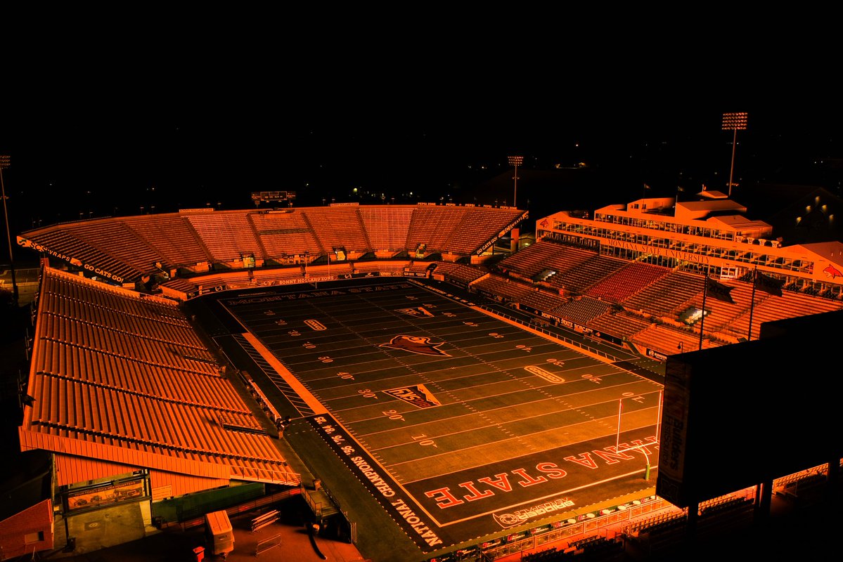 MSUBobcats_FB's tweet photo. Cloaked in GOLD.

#BobcatBuilt https://t.co/4VzG9xuqdd